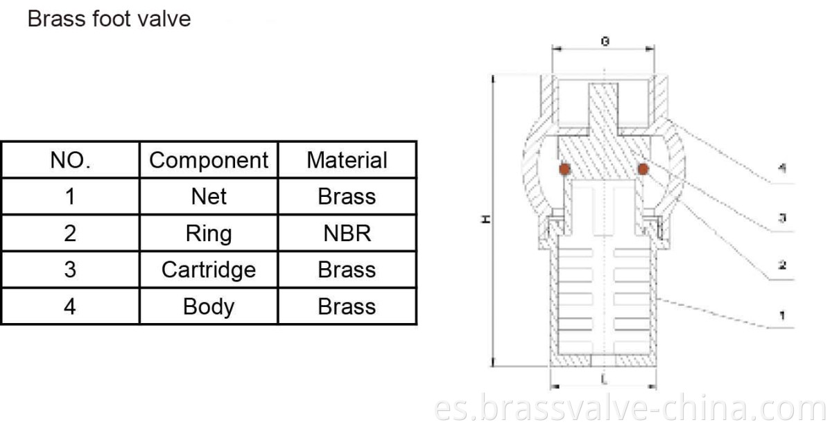 BRASS FOOT VALVE2